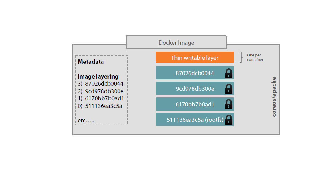 docker for image thi writable